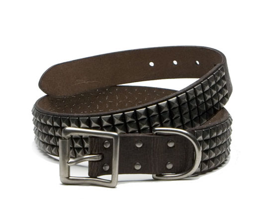 Studded Belt in Chocolate